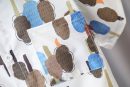 Boys Summer Cotton Collar Shirt & Pant Set