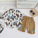 Boys Summer Cotton Collar Shirt & Pant Set