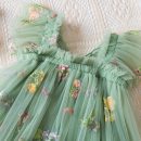 Girls Green Net Partywear Dress with 3D Butterfly Design-Fancy Birthday Frock for 2-6 Years