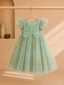 Girls mint green butterfly tulle party dress with floral embroidery