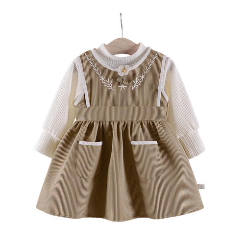 Girls Fit and Flare Embroidered Dress